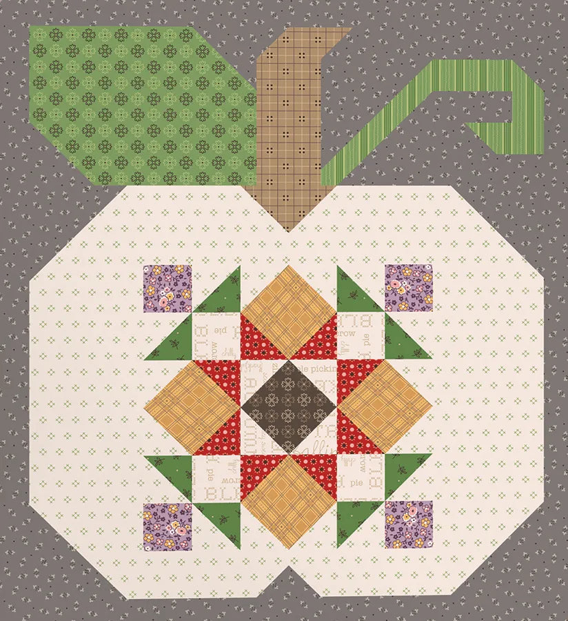 Autumn Quilt Seeds Pumpkin 9 Block Kit Featuring Autumn by Lori Holt close up